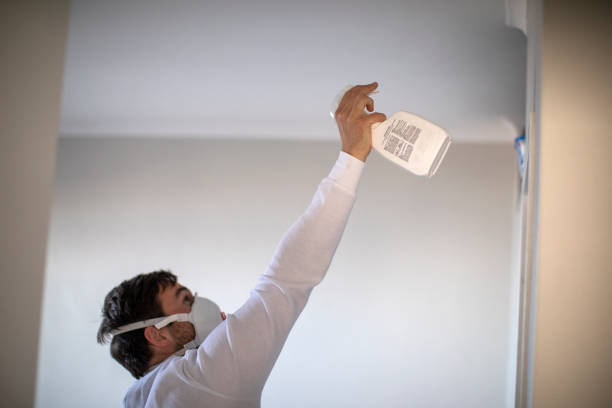 Best Mold Removal Process  in Saltillo, MS