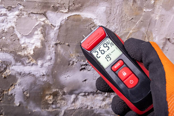 Professional Mold Removal in Saltillo, MS