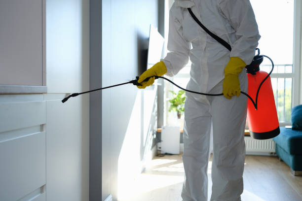 Best Mold Testing  in Saltillo, MS
